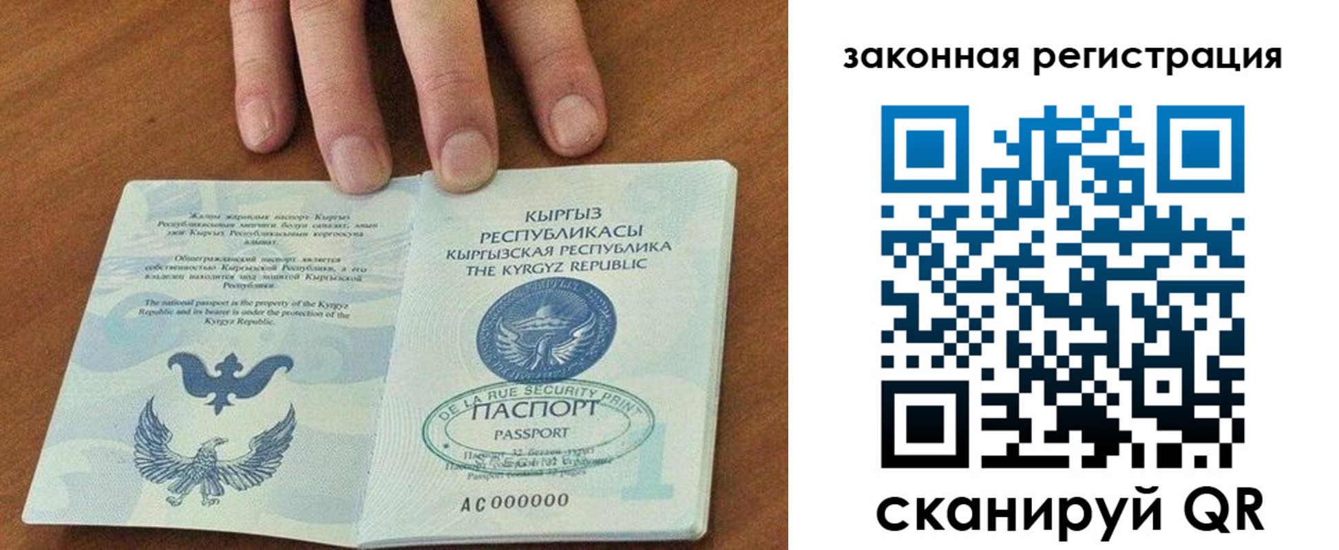прописка гарантия в Струнино